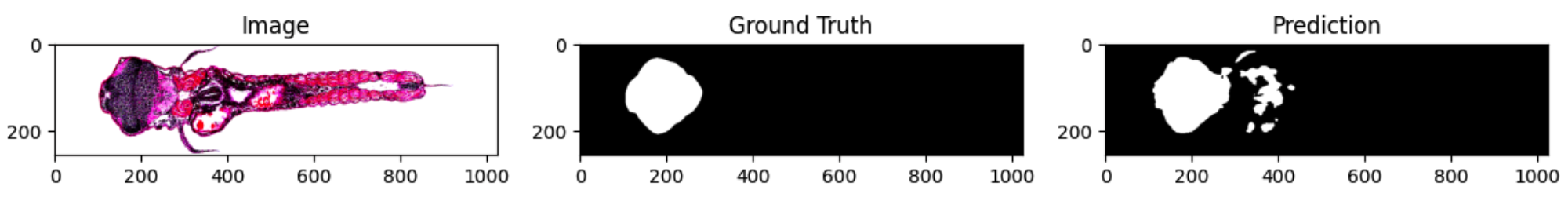 Image segmentation example.